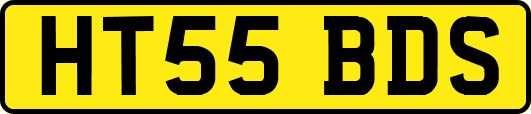 HT55BDS