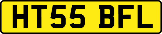 HT55BFL