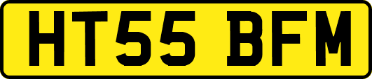 HT55BFM