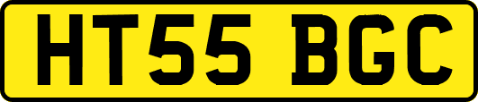 HT55BGC