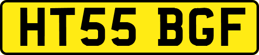 HT55BGF