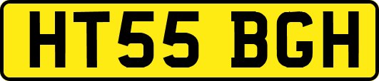 HT55BGH