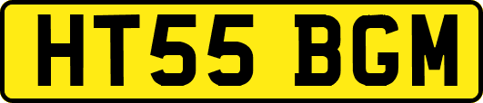 HT55BGM