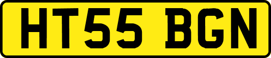 HT55BGN