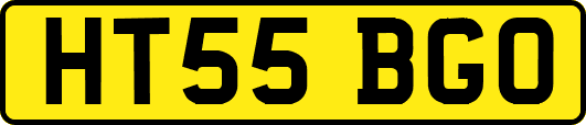 HT55BGO