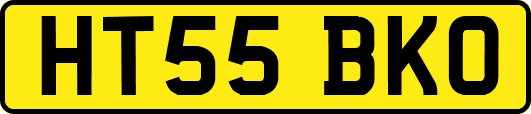 HT55BKO