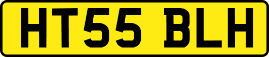 HT55BLH