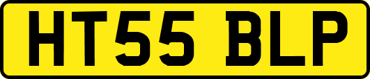 HT55BLP