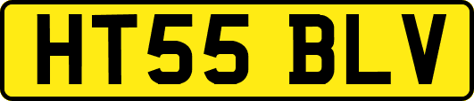 HT55BLV