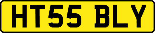 HT55BLY