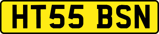 HT55BSN