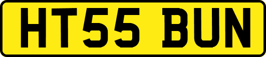 HT55BUN