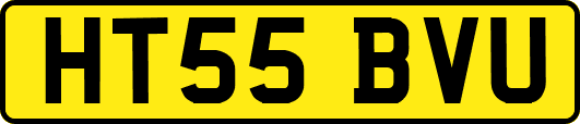 HT55BVU