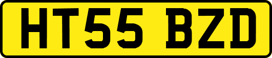 HT55BZD