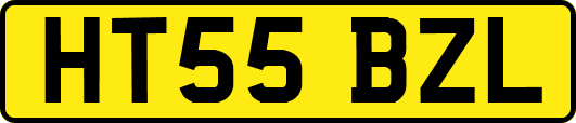 HT55BZL