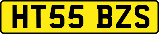 HT55BZS