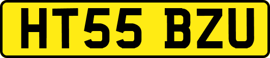 HT55BZU
