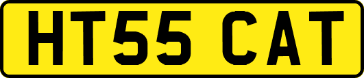 HT55CAT