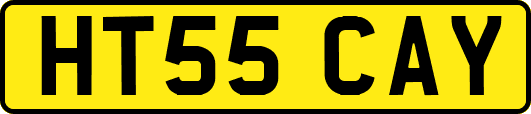 HT55CAY