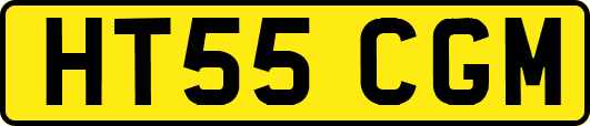 HT55CGM