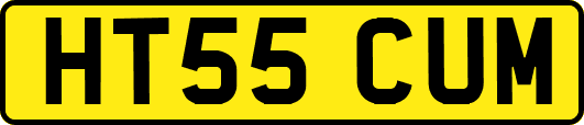 HT55CUM