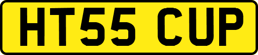 HT55CUP