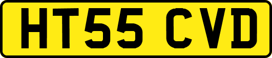 HT55CVD