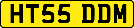HT55DDM