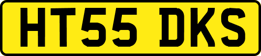 HT55DKS