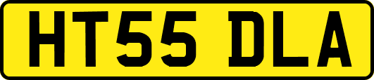 HT55DLA