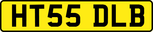 HT55DLB