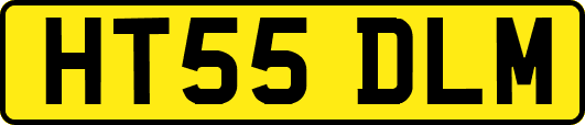 HT55DLM