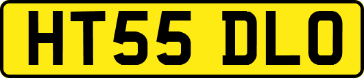 HT55DLO