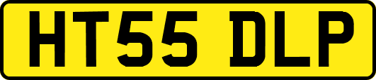HT55DLP