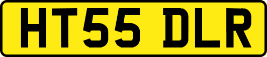 HT55DLR