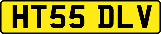 HT55DLV