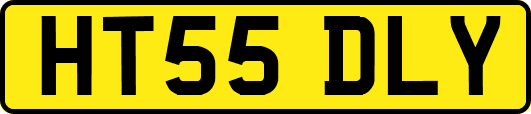 HT55DLY