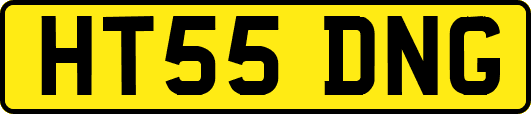 HT55DNG