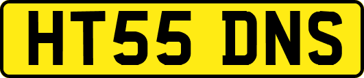 HT55DNS