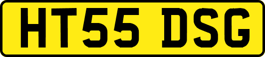 HT55DSG