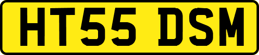 HT55DSM