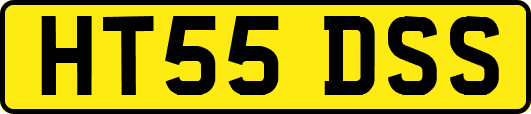 HT55DSS