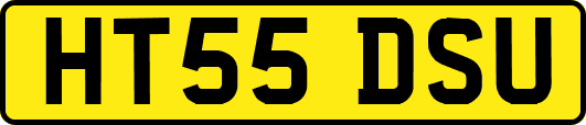 HT55DSU