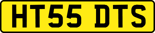 HT55DTS