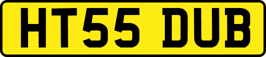 HT55DUB