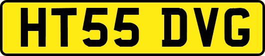 HT55DVG