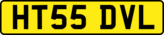 HT55DVL