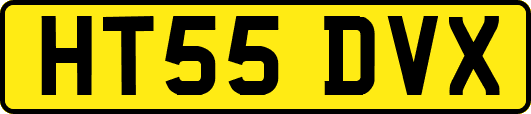 HT55DVX