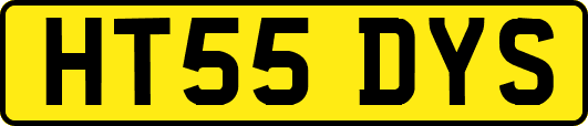 HT55DYS