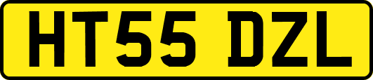 HT55DZL
